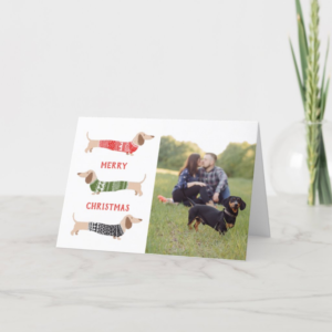 Dachshund Pet Dog Funny Photo Christmas Card