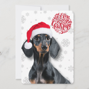 Dachshund Wiener Dog Pet Snowflake Christmas Holiday Card