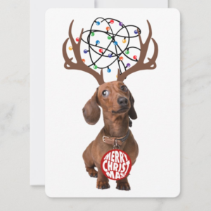 Funny Dachshund Wiener Dog Antlers Merry Christmas Holiday Card